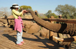 Zimbabwe - Chutes Victoria - Elephant Camp