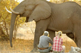 Zimbabwe - Mana Pools - Goliath Safari Camp