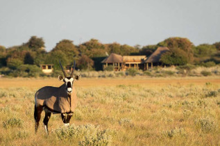 Botswana - Kalahari Plains Camp Wilderness