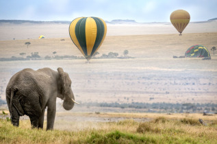 Kenya - Survol en montgolfière au Masai Mara