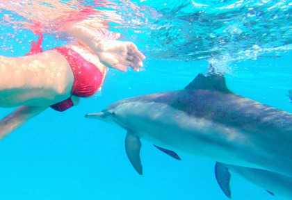 Croisière Dauphin en Mer Rouge avec Valérie Valton - Nager avec les dauphins