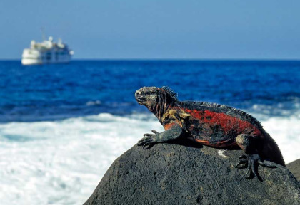 Equateur - Galapagos - Itinéraire de Santa Cruz à San Cristobal © Shutterstock, Frank Wasserfuehrer