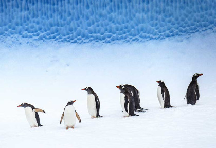 Croisières PONANT - Antarctique © Studio Ponant, Laurence Fischer