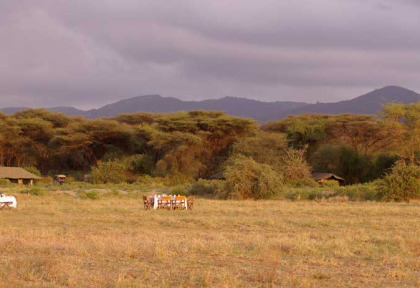 Tanzanie - Manyara - Lemala Manyara Camp