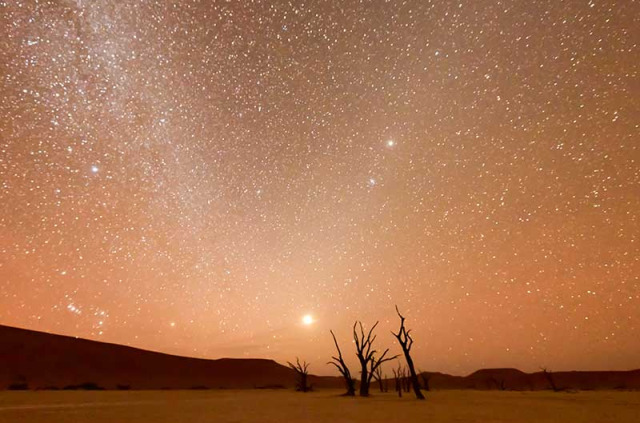 Namibie - Parc national Namib-Naukluft - Desert du Namib ©Shutterstock, Felix Lipov