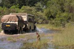 Botswana-Zambie - départ en expédition