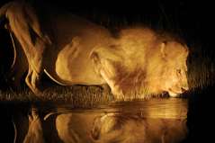 Botswana
Delta de l'Okavango
