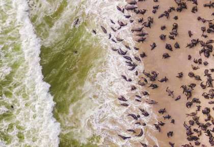 Skeleton Coast - Vue aérienne ©shutterstock, Babenko