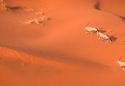 Survol du désert du namib ©shutterstock, Janelle Lugge
