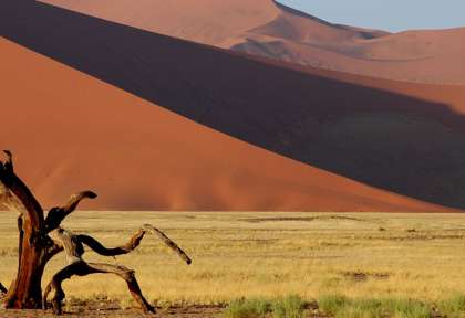 Désert du Namib