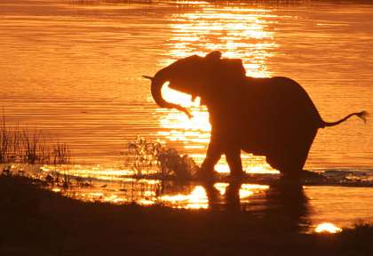 Tsavo - Kenya © Shutterstock - Eduard Kyslynskyy