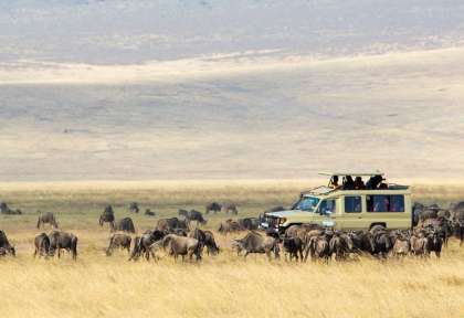 Safaris aériens