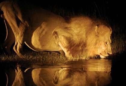 Botswana
Delta de l'Okavango