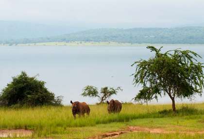 Rwanda - Parc national d'Akagera