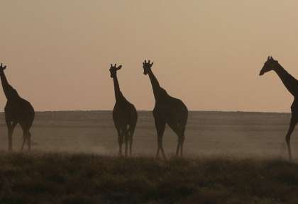 Walvis Bay