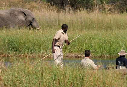 Delta de l'Okavango