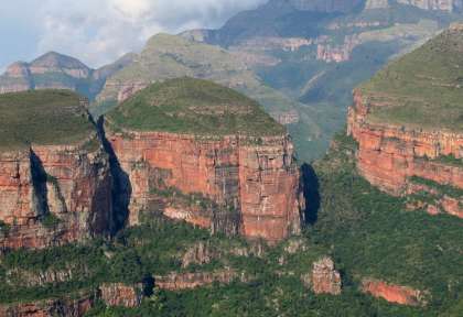 Manchots du Cap © Shutterstock - Steffen Foerster