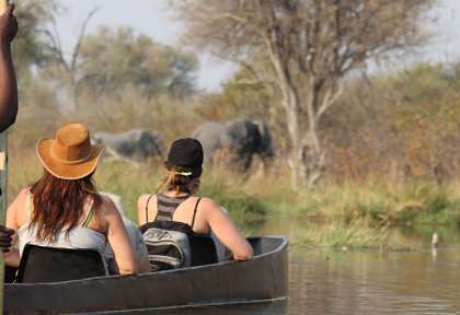 Des safaris variés et personnalisés