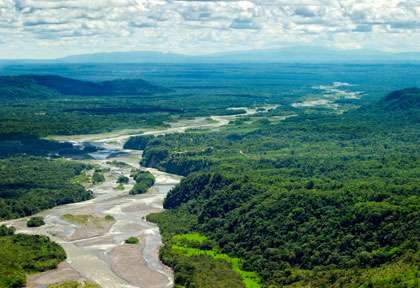 forêt d'Amazonie