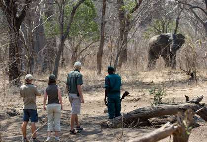 Safari à pied à Majete