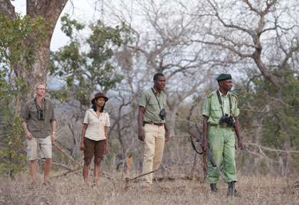 Safari à pied à Majete