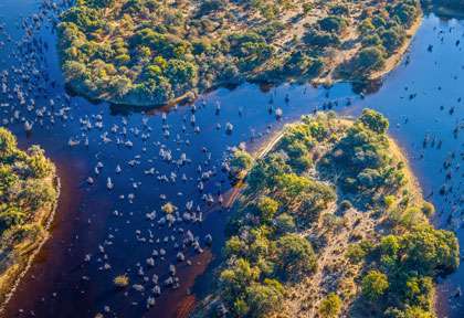 Delta de l'Okavango vu du ciel