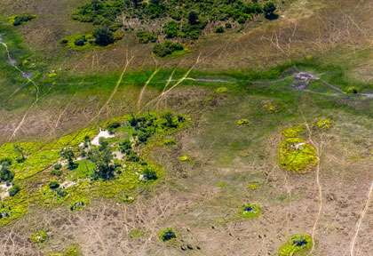 l'Okavango en saison sèche