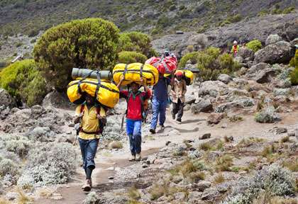 Porteurs pendant l'ascension du Kilimandjaro