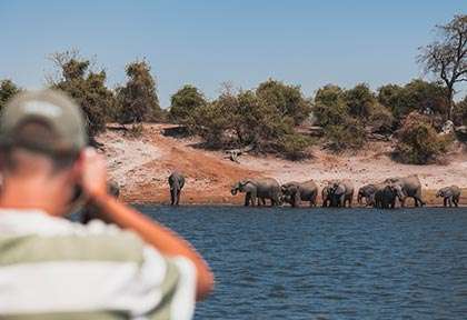 croisière sur Chobe