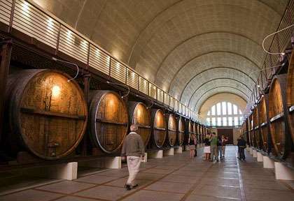 vignoble de Paarl