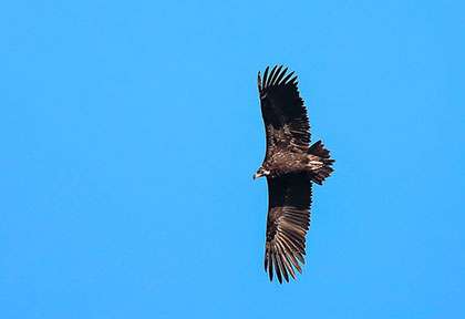 Espagne Andalousie - Taiga Spirit