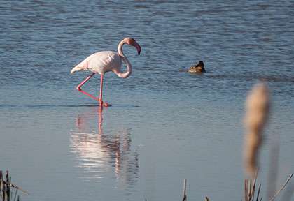 Espagne Andalousie - Taiga Spirit