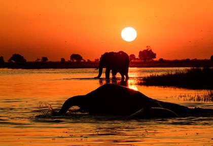 croisière au coucher du soleil