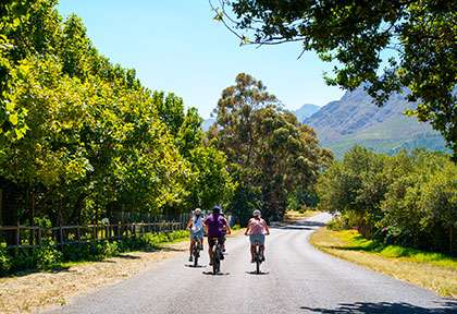 Vélo dans les vignobles de Franschhoek