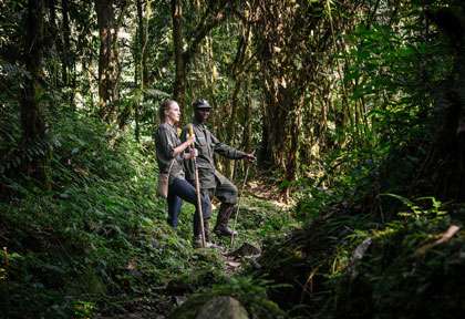 Parc national de Bwindi