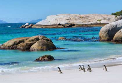 Simon's Town