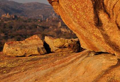Chaos granitique de Matobo