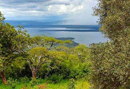 Rwanda - Parc national d'Akagera - Wild Frontiers