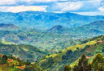 Rwanda - Parc national de Nyungwe - Shutterstock Atosan