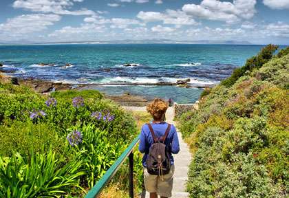Hermanus