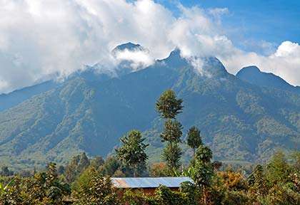 Rwanda - Parc national des Volcans - Shutterstock. Wirestock Creators