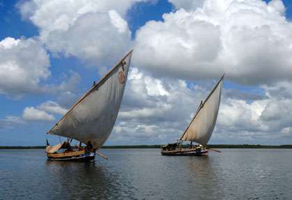 Excursion en dhow