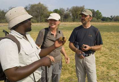 safari guidé au Botswana