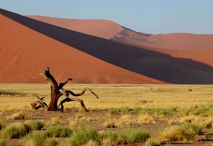 Désert du Namib © Wild Dog Safaris