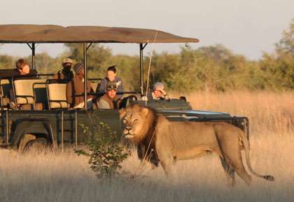 vêtements pour safari au Zimbabawe