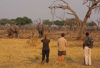 tenue pour un safari à pied