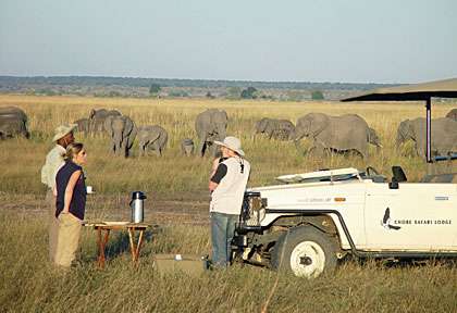 safari au Botswana