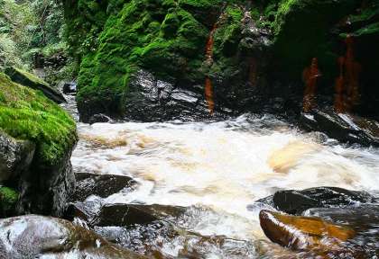 rivière rwanda