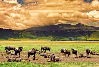 ciel d'orage sur le Ngorongoro