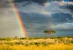 ciel d'orage au Kalahari